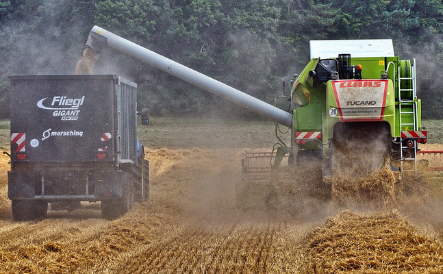 Österreichs hochwertige Getreideernte wird nach Italien exportiert, während unseren Konsumenten minderwertiges Getreide aus der Ukraine zugemutet wird.