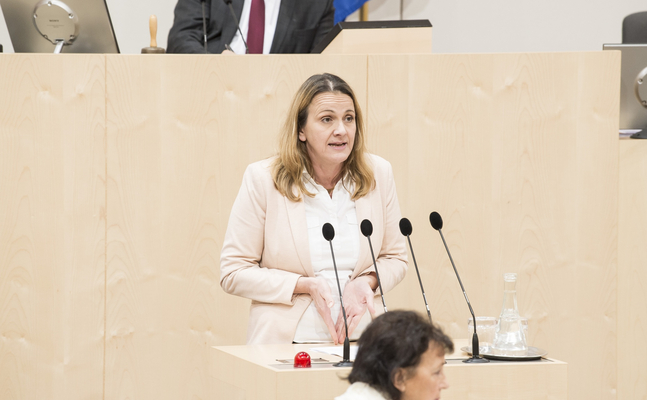 FPÖ-Parlamentarierin Belakowitsch rät Blümel, angesichts diverser Vorwürfe auch in die parlamentarische Immunität zu flüchten wie sein Freund Kurz.