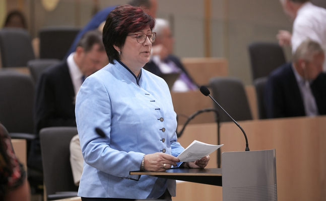 FPÖ-Frauensprecherin Ecker brachte im Nationalrat Entschließungsanträge für eine „SOS App“ und für eine „App für Familienleistungen“ ein.