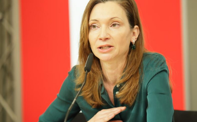 FPÖ-Klubobmann-Stellvertreterin Susanne Fürst