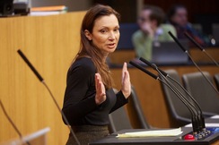 FPÖ-Verfassunsgsprecherin Susanne Fürst im Parlament.